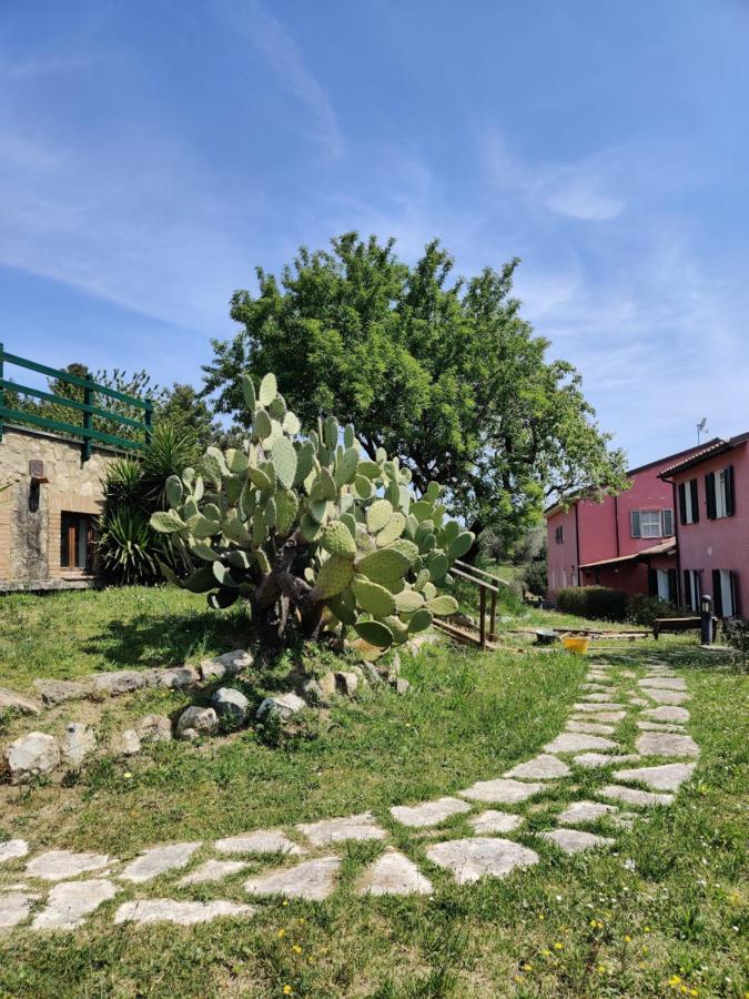 Agriturismo Le Pellicce Villa Riparbella Esterno foto