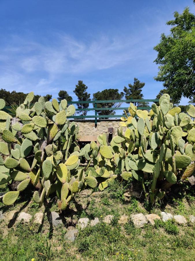 Agriturismo Le Pellicce Villa Riparbella Esterno foto